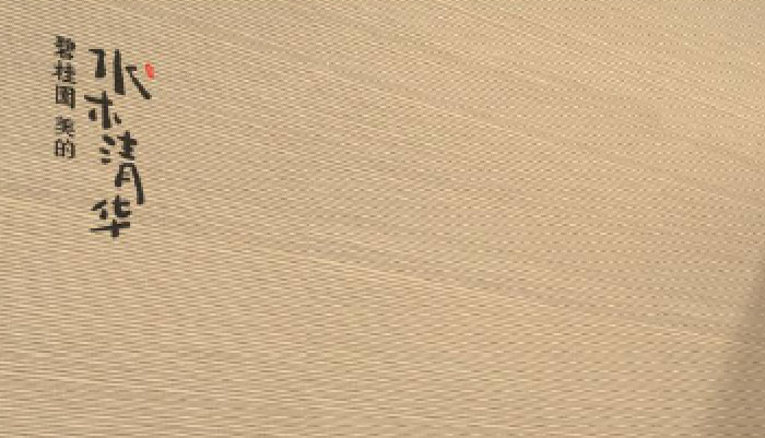 項(xiàng)目實(shí)施作品案例展示