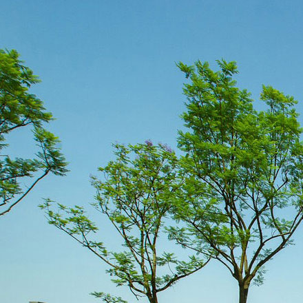 標(biāo)識設(shè)計(jì)作品案例展示