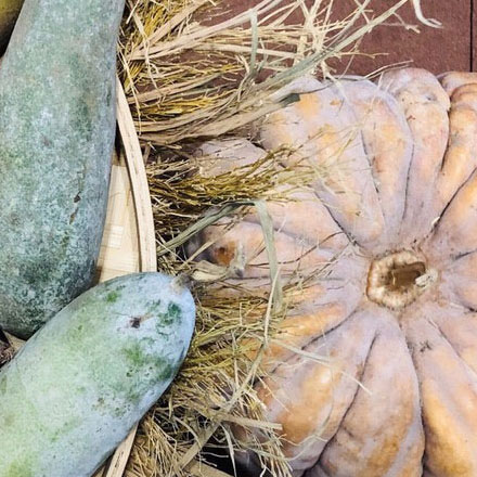 圖書館導(dǎo)視標(biāo)識設(shè)計