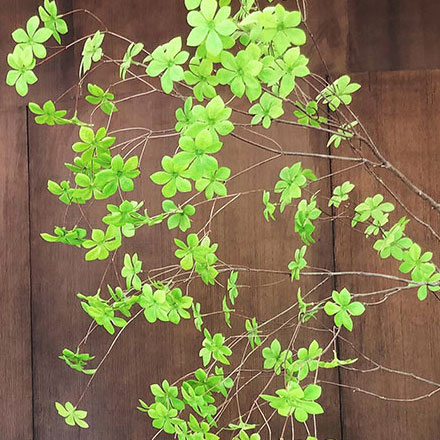 中國能效標識怎么看設(shè)計:能源效率的認證標志