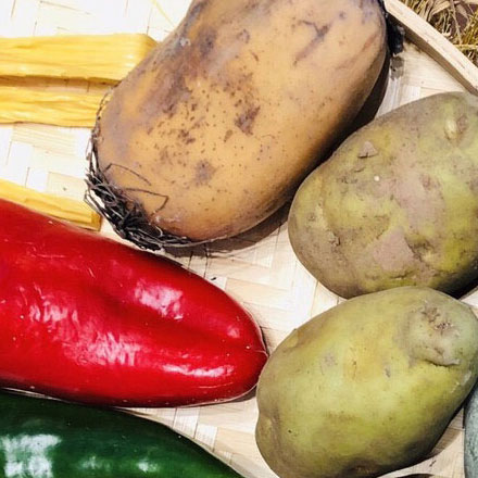 禁煙標識圖設計:文明提示,禁煙標識圖設計倡導文明生活